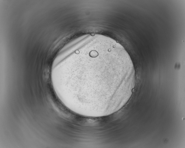 X0000112740166200910011229