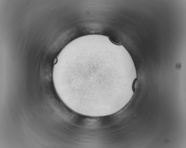 X0000112740170200910011229