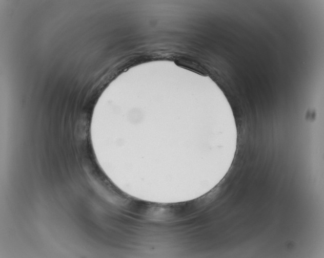 X0000112740174200910011229