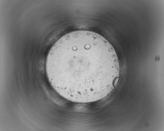 X0000112740175200910011229