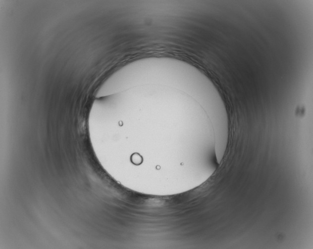 X0000112740176200910011229