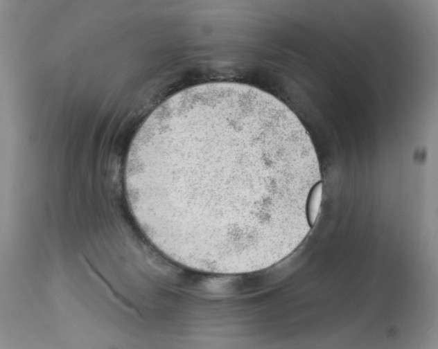 X0000112740178200910011229