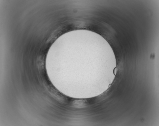 X0000112740179200910011229