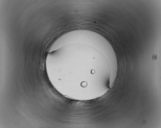 X0000112740180200910011229