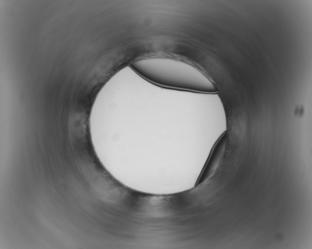 X0000112740184200910011229