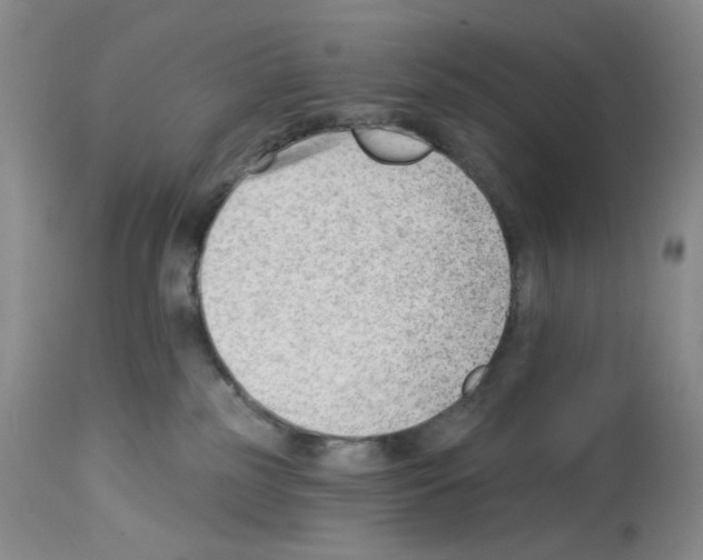 X0000112740185200910011229