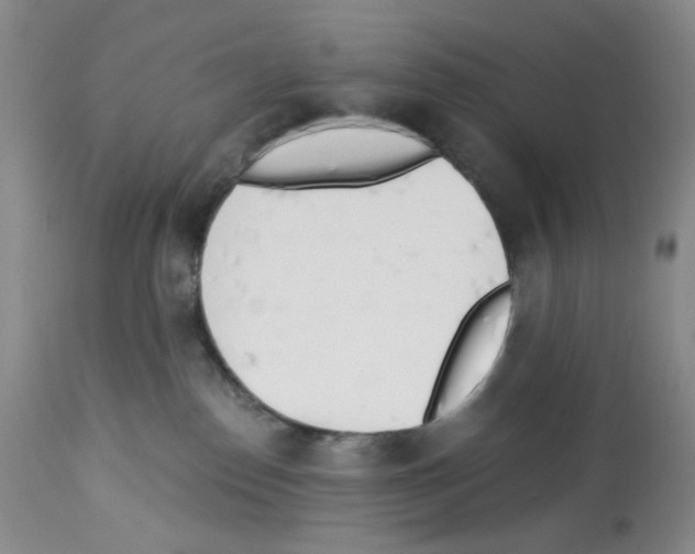 X0000112740186200910011229