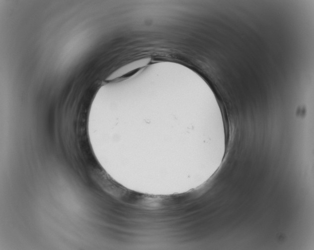 X0000112740190200910011229