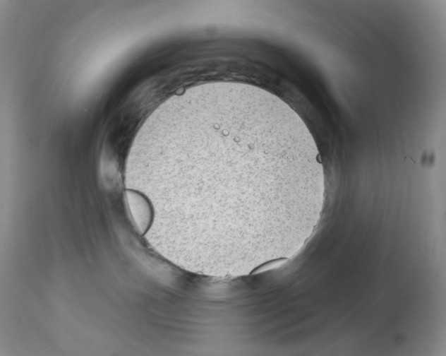 X0000112740191200910011229