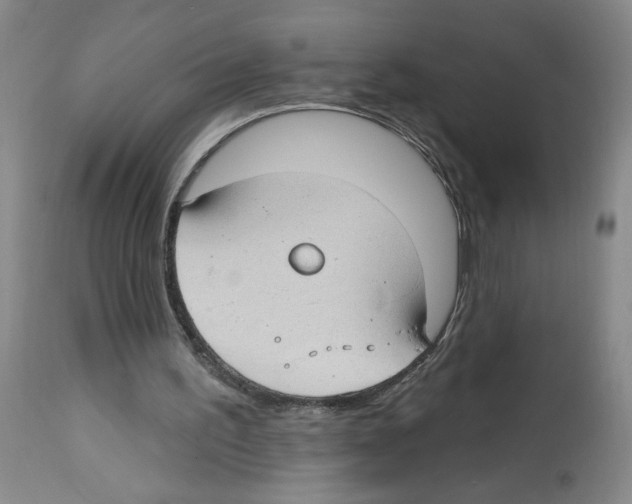 X0000112740195200910011228