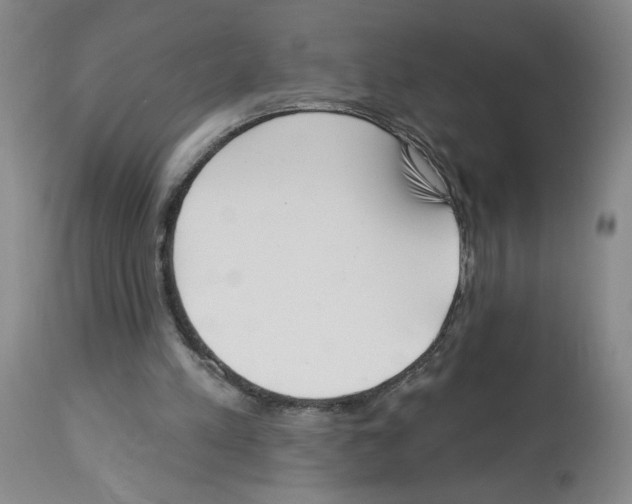 X0000112740197200910011228