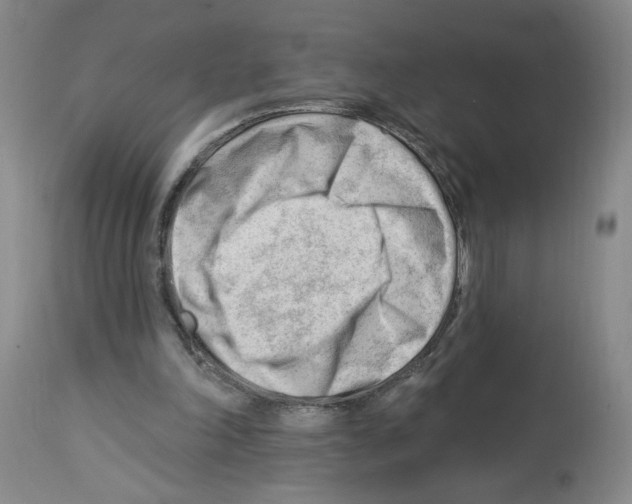 X0000112740198200910011228