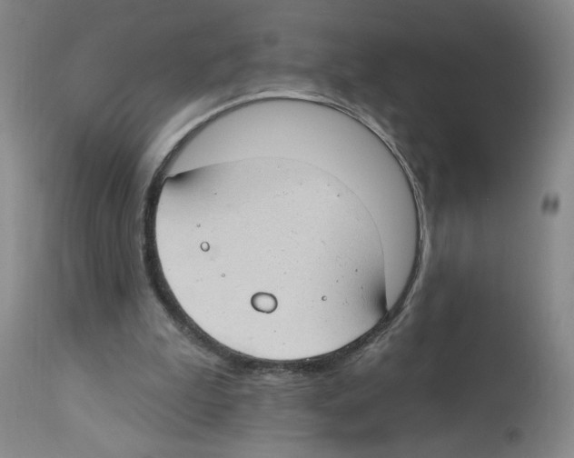 X0000112740199200910011228