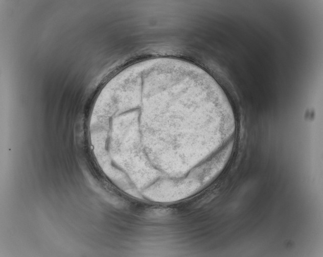 X0000112740202200910011228