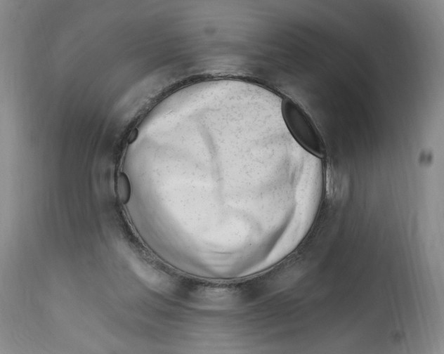 X0000112740205200910011228