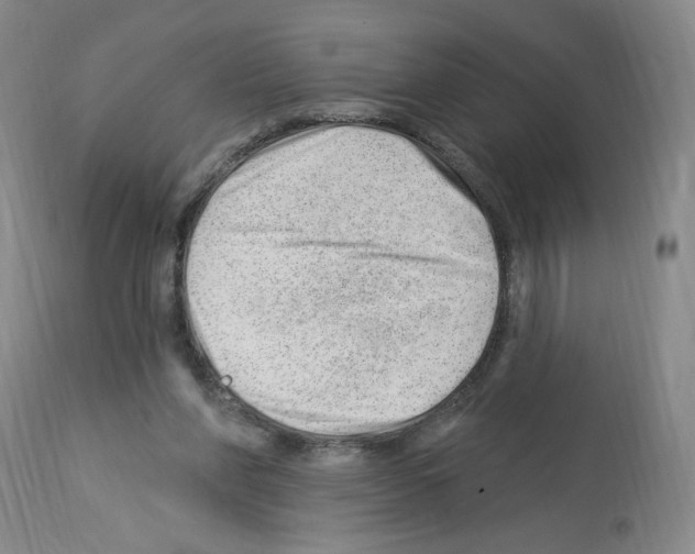 X0000112740206200910011228