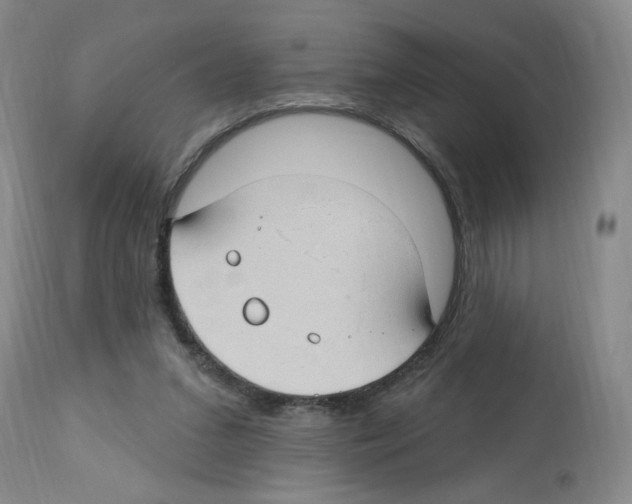 X0000112740207200910011228