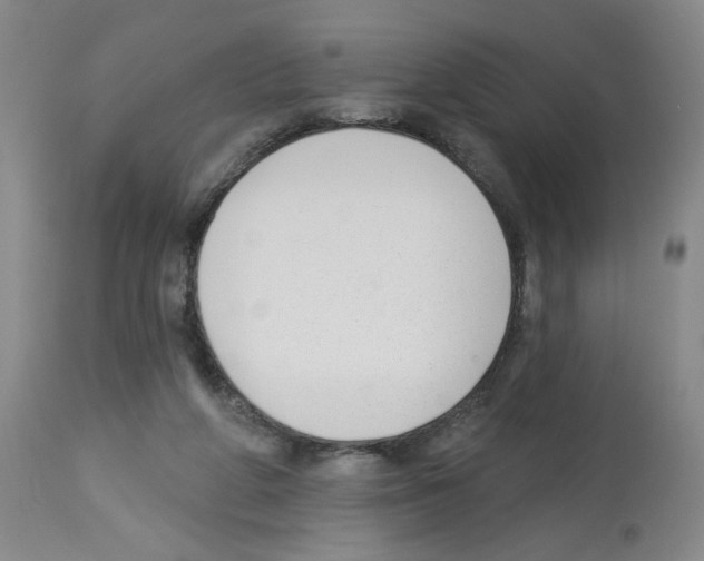 X0000112740210200910011228