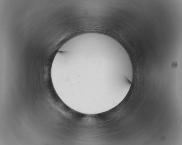 X0000112740211200910011228