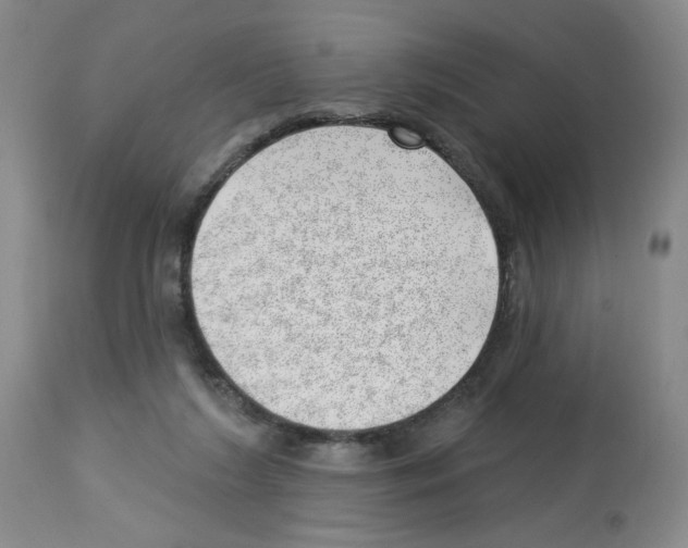 X0000112740212200910011228