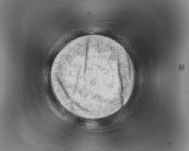 X0000112740214200910011228