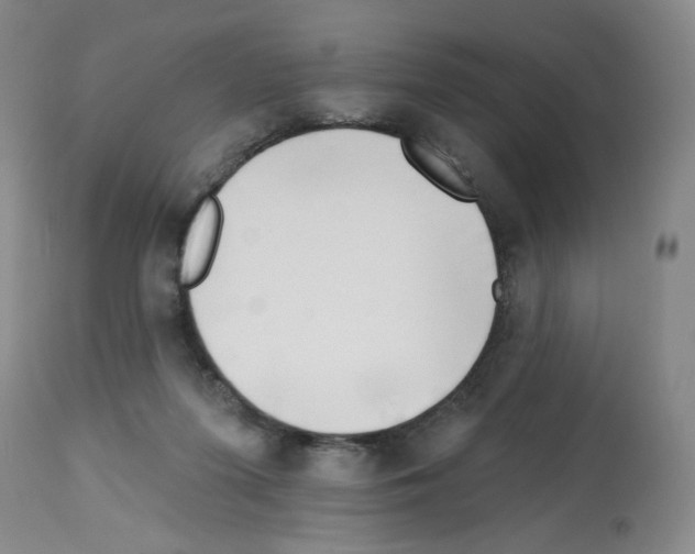 X0000112740215200910011228