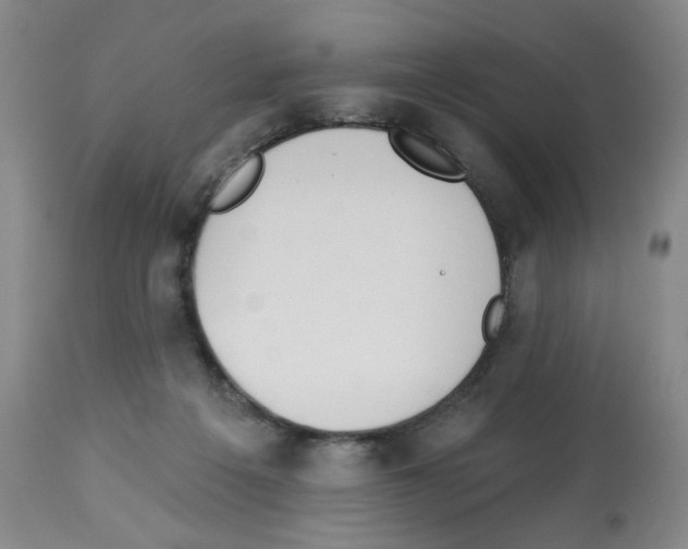 X0000112740217200910011228