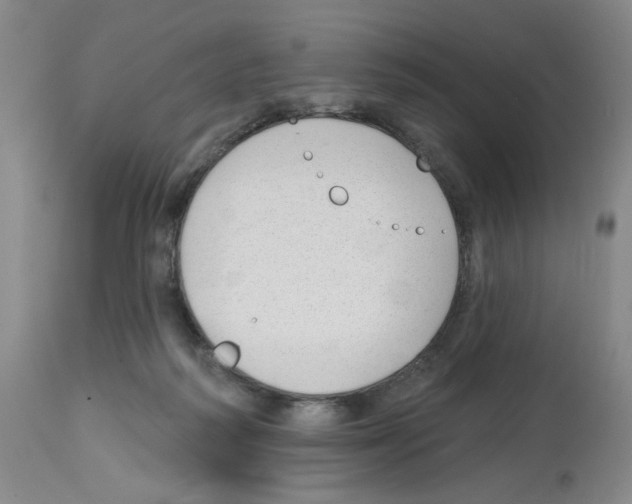 X0000112740218200910011228