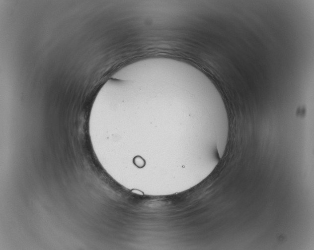 X0000112740219200910011228