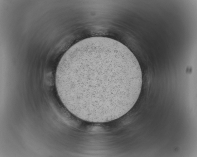 X0000112740224200910011228