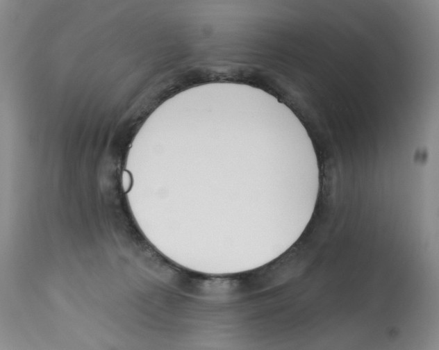 X0000112740225200910011228