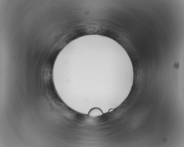 X0000112740226200910011228