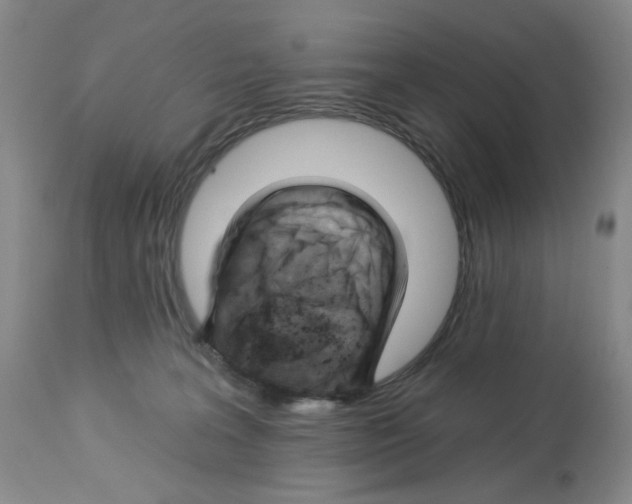 X0000112740227200910011228