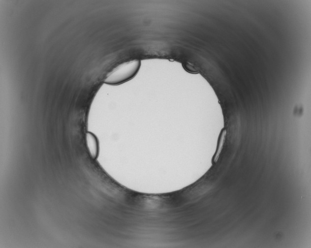 X0000112740229200910011228