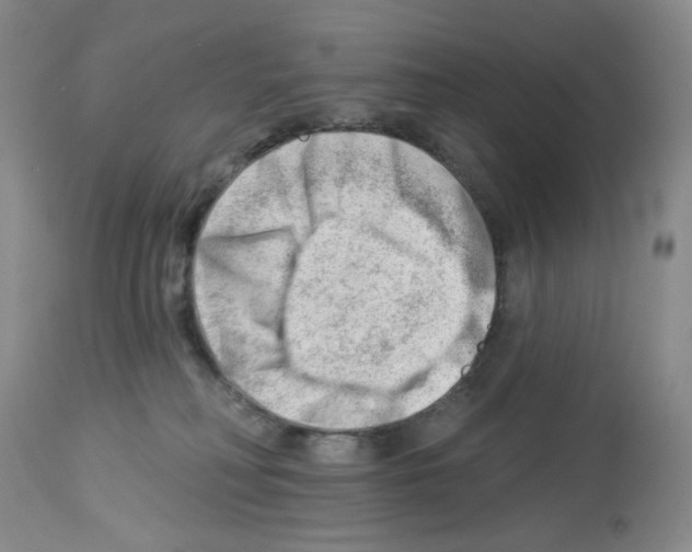 X0000112740230200910011228