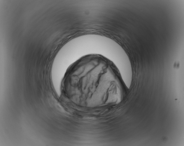 X0000112740231200910011228