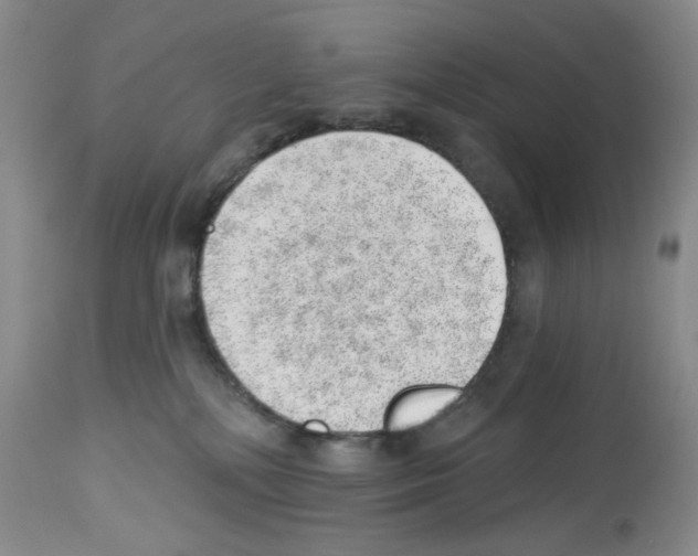 X0000112740232200910011228