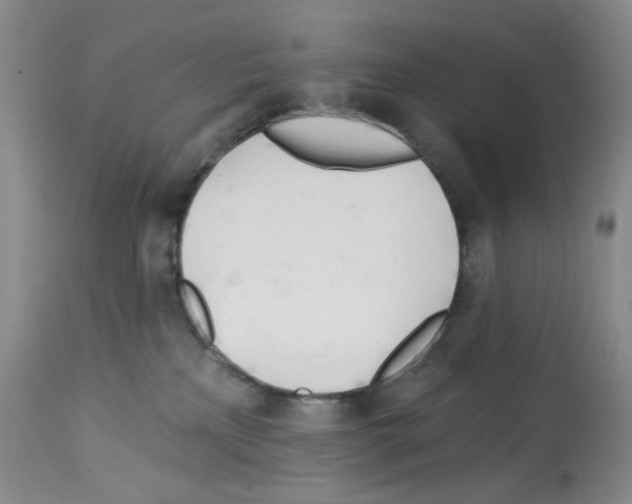 X0000112740233200910011228