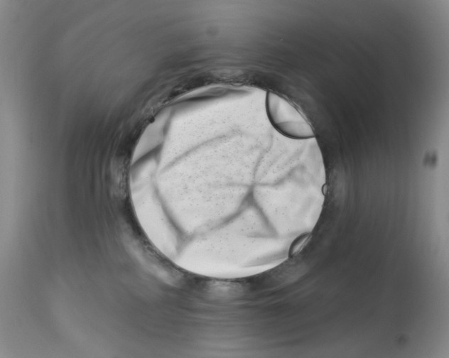 X0000112740234200910011228