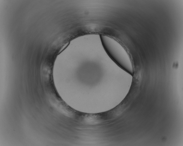 X0000112740235200910011228