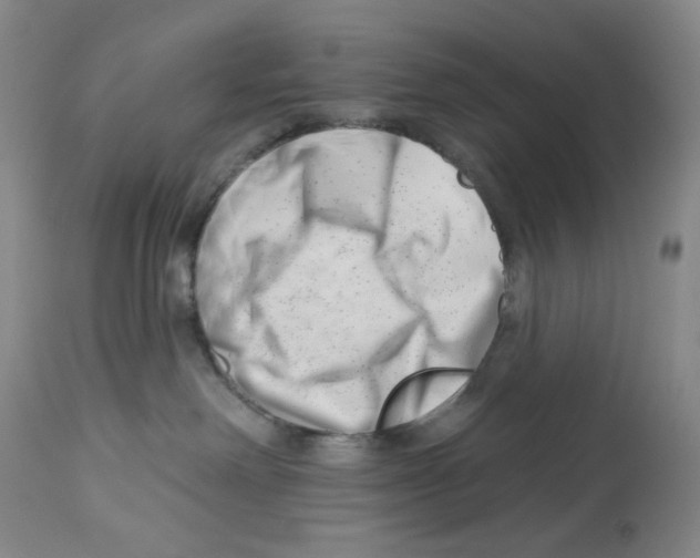 X0000112740238200910011228