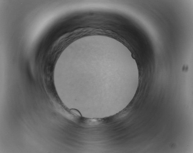 X0000112740239200910011228