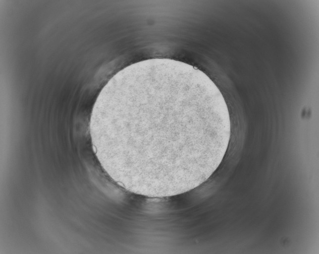 X0000112740240200910011228