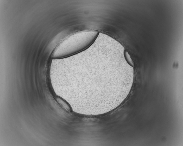 X0000112740242200910011227