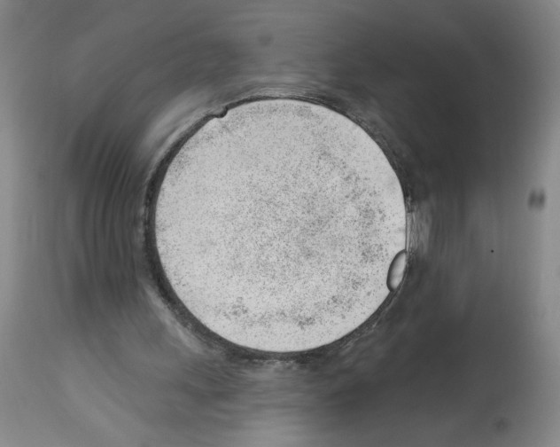 X0000112740243200910011227