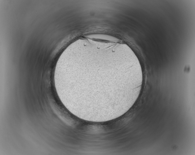 X0000112740250200910011227