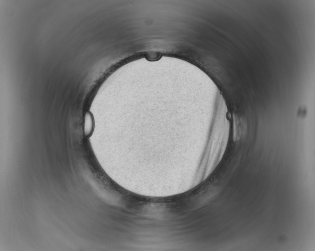 X0000112740252200910011227