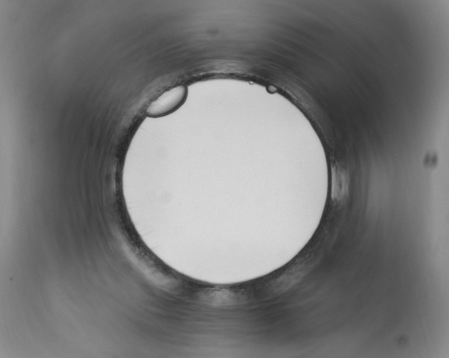 X0000112740253200910011227