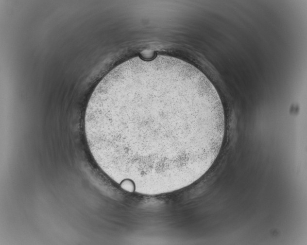 X0000112740257200910011227