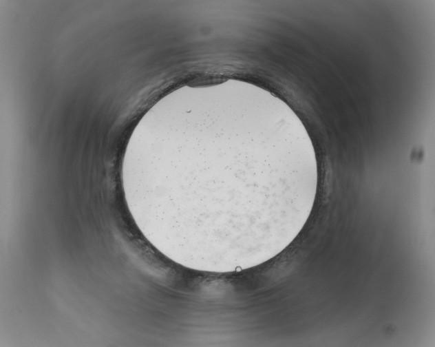 X0000112740258200910011227